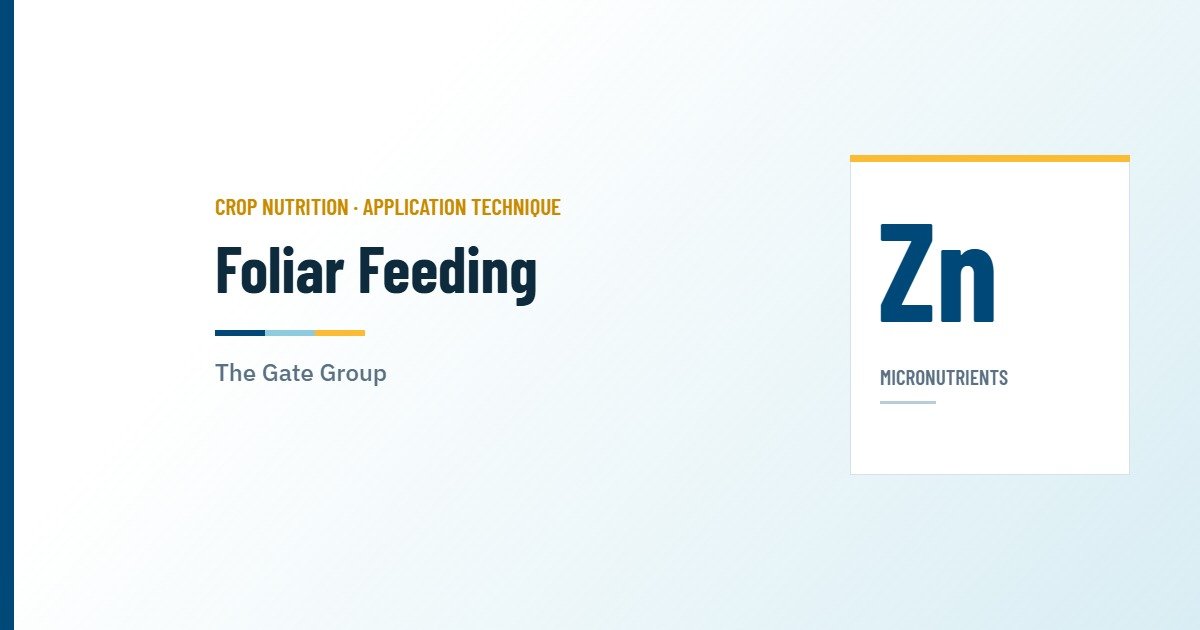 The Gate Group guide to foliar feeding and micronutrient sprays — cover graphic