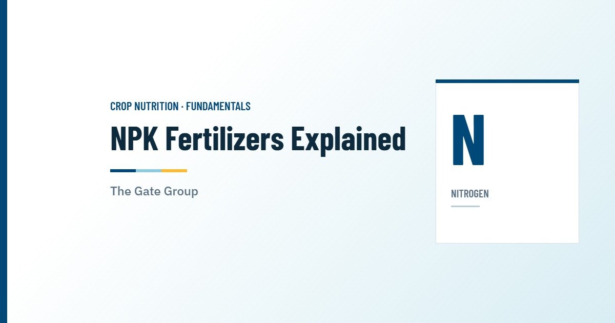 The Gate Group guide to NPK fertilizers — cover graphic with the nitrogen element tile