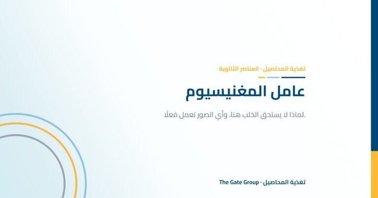 عامل المغنيسيوم: كيف تؤثر صور الخلب في التمثيل الضوئي والمحصول