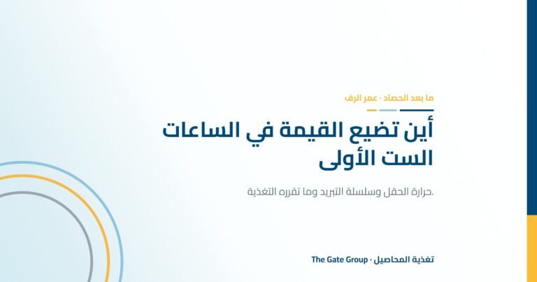 التداول بعد الحصاد: أين تضيع قيمة التصدير في الساعات الست الأولى