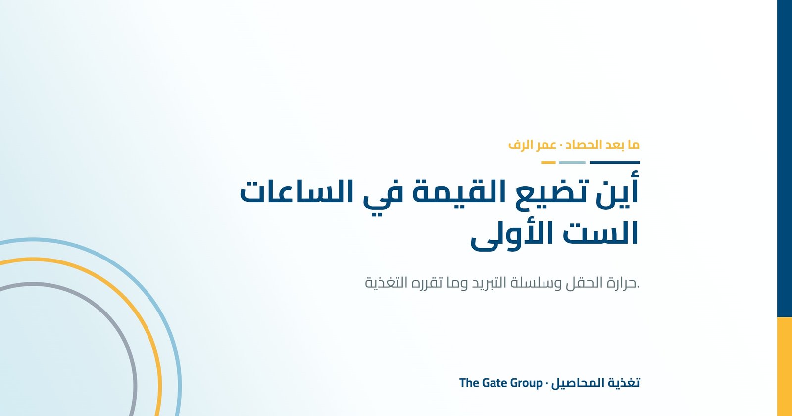 التداول بعد الحصاد: أين تضيع قيمة التصدير في الساعات الست الأولى