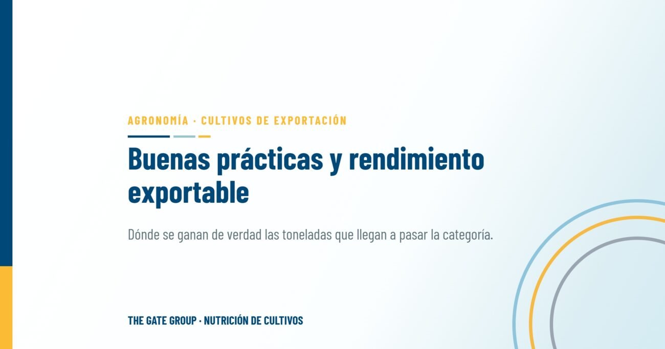 Buenas prácticas agrícolas y rendimiento exportable: dónde se ganan de verdad las toneladas