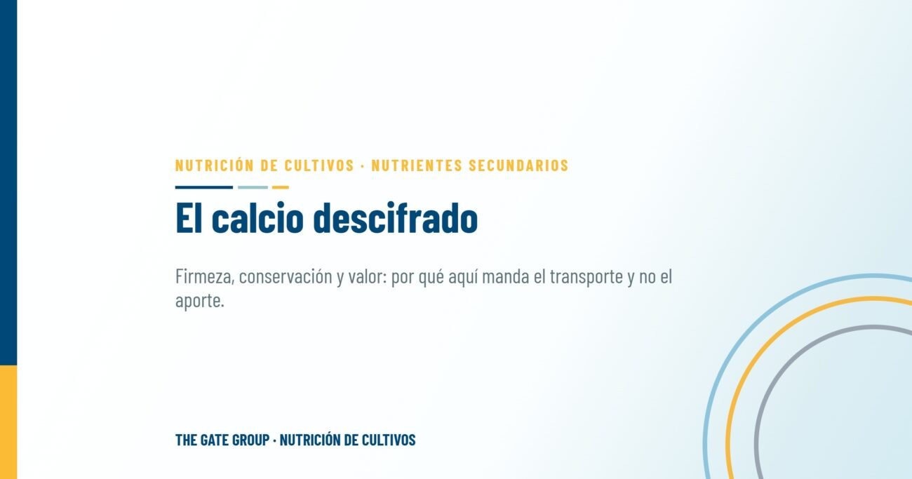 El calcio descifrado: elegir el quelato adecuado para firmeza, conservación y valor de mercado