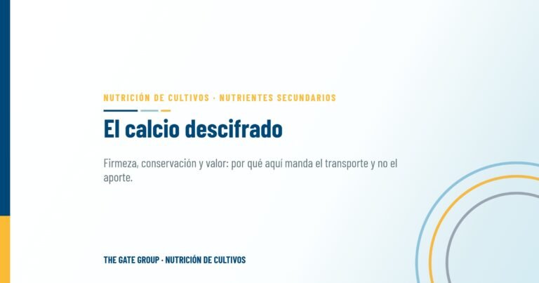El calcio descifrado: elegir el quelato adecuado para firmeza, conservación y valor de mercado