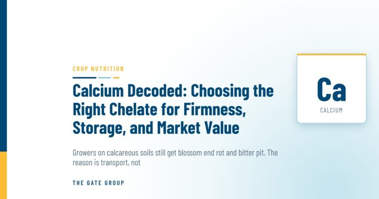 Calcium Decoded: Choosing the Right Chelate for Firmness, Storage, and Market Value — The Gate Group