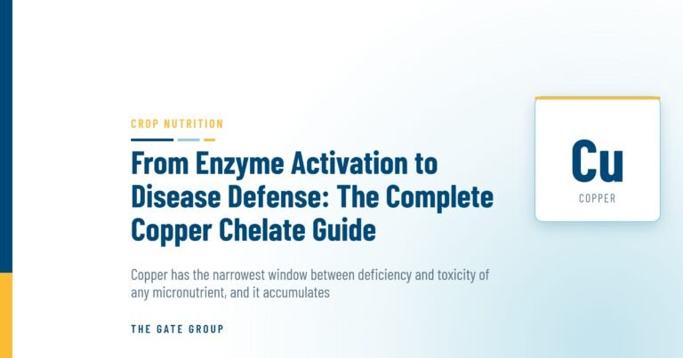 From Enzyme Activation to Disease Defense: The Complete Copper Chelate Guide — The Gate Group