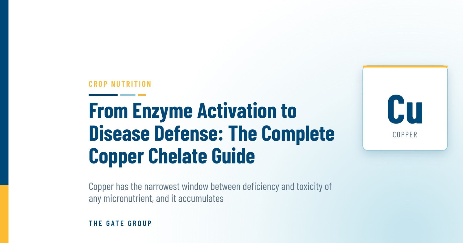 From Enzyme Activation to Disease Defense: The Complete Copper Chelate Guide — The Gate Group
