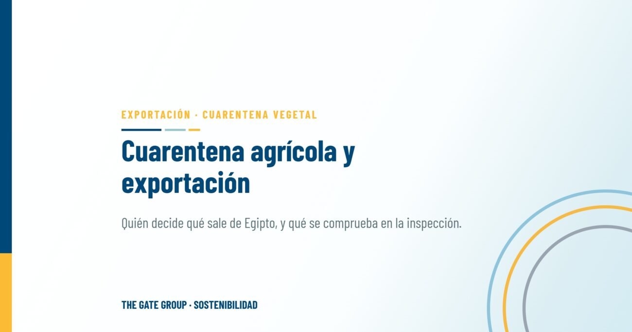 Cómo decide la cuarentena agrícola egipcia qué envíos llegan a los mercados del mundo