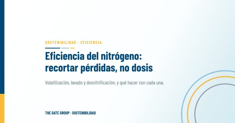 Eficiencia en el uso del nitrógeno: recortar pérdidas, no dosis