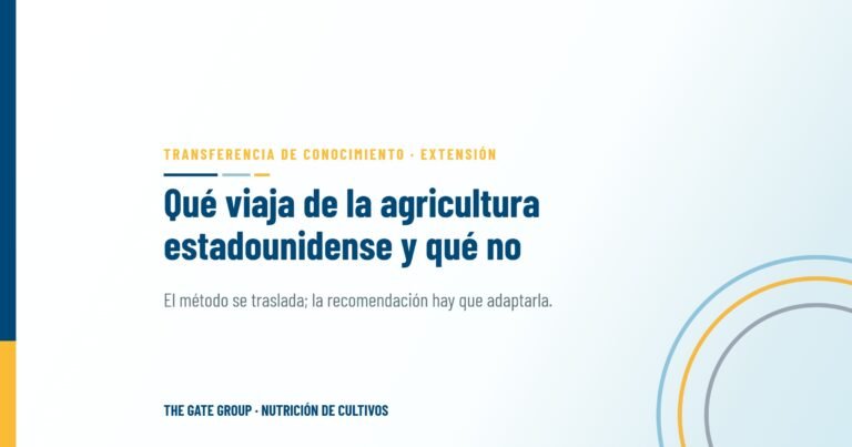 Trasladar la experiencia agrícola estadounidense a los campos egipcios: qué viaja y qué no