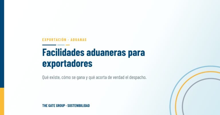 Facilidades aduaneras para exportadores egipcios: qué existe y quién cumple de verdad los requisitos