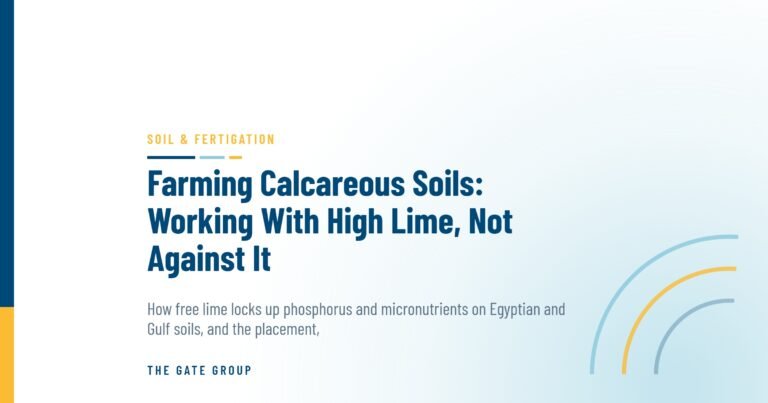 Farming Calcareous Soils: Working With High Lime, Not Against It — The Gate Group