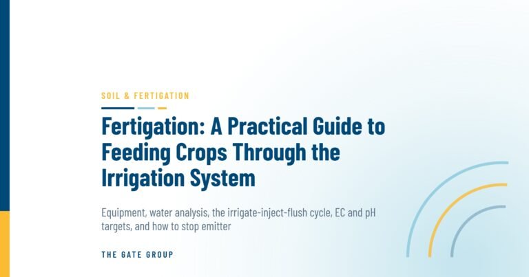 Fertigation: A Practical Guide to Feeding Crops Through the Irrigation System — The Gate Group
