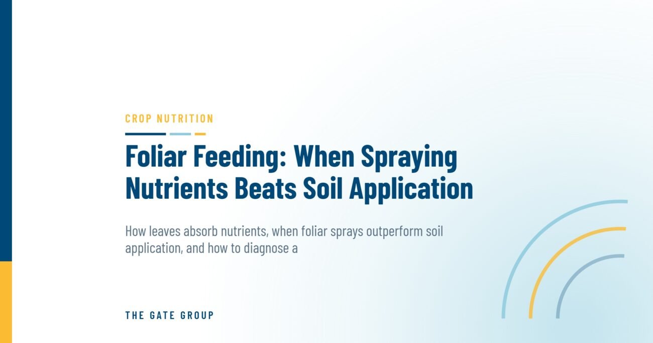 Foliar Feeding: When Spraying Nutrients Beats Soil Application — The Gate Group