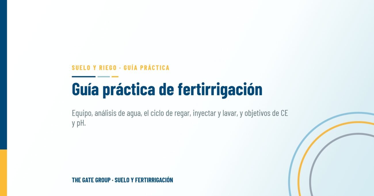 Fertirrigación: guía práctica para alimentar los cultivos a través del sistema de riego