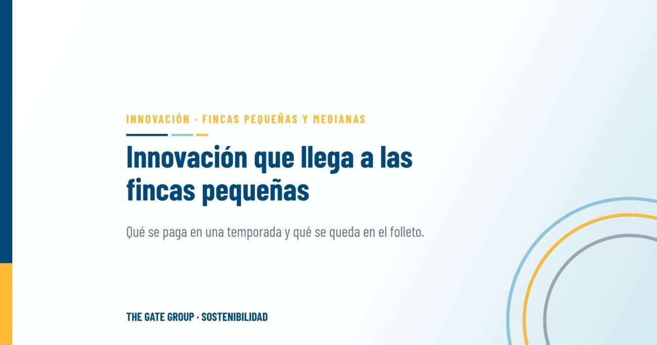 Innovación que llega a las fincas pequeñas y medianas: qué funciona y qué se queda en el folleto