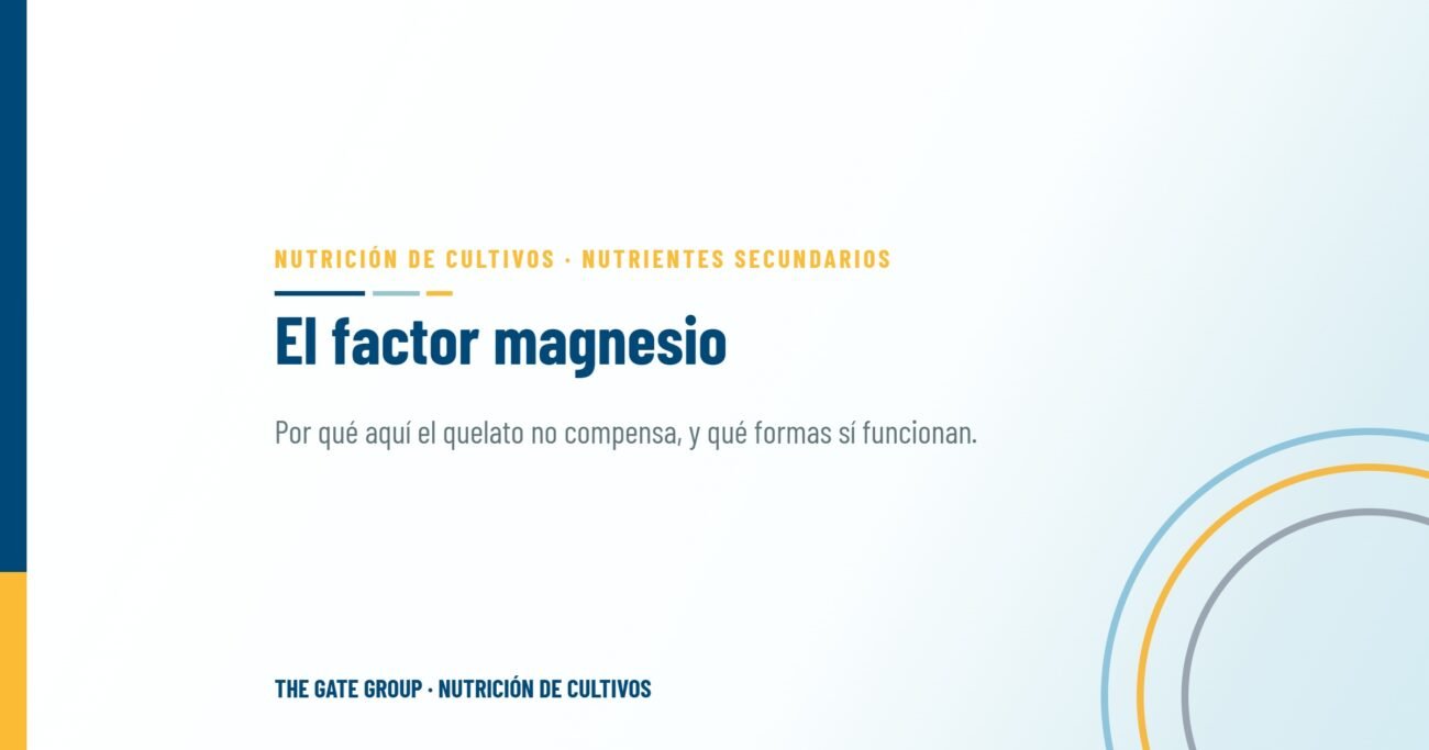 El factor magnesio: cómo influyen las formas de quelación en la fotosíntesis y el rendimiento