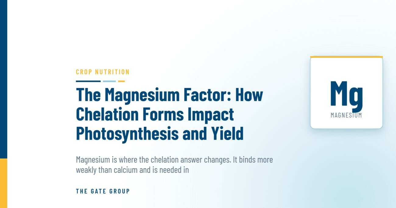 The Magnesium Factor: How Chelation Forms Impact Photosynthesis and Yield — The Gate Group