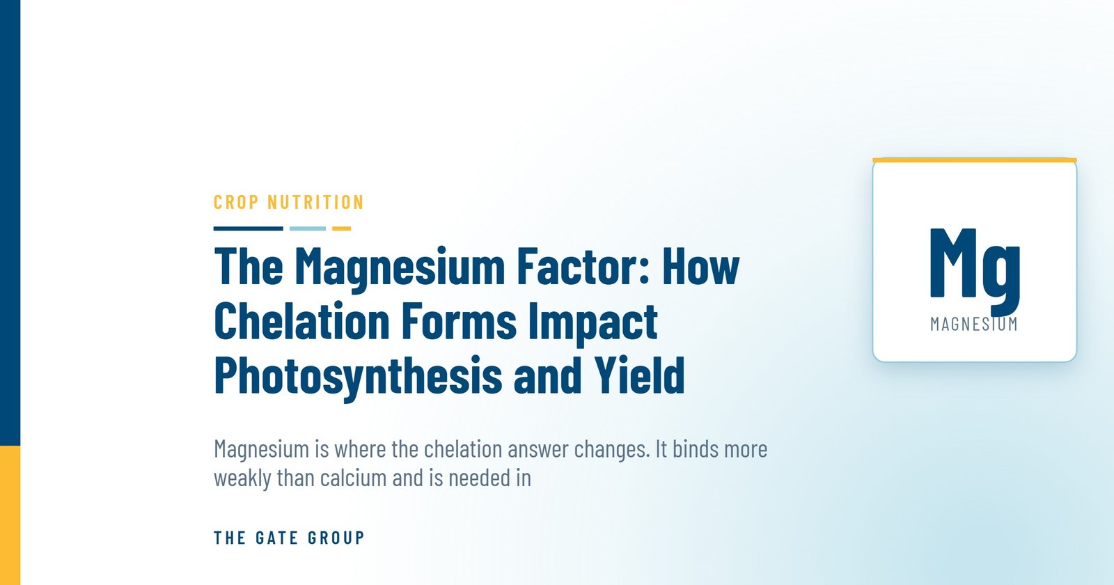The Magnesium Factor: How Chelation Forms Impact Photosynthesis and Yield — The Gate Group