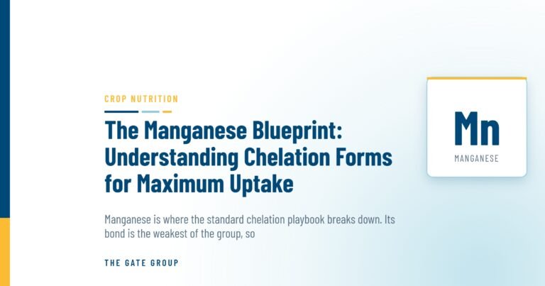 The Manganese Blueprint: Understanding Chelation Forms for Maximum Uptake — The Gate Group