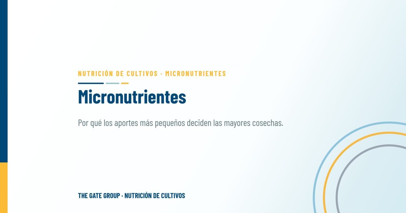 Micronutrientes: por qué los aportes más pequeños deciden las mayores cosechas