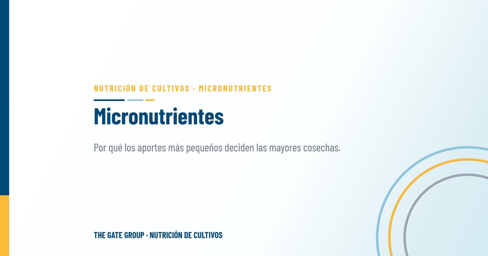 Micronutrientes: por qué los aportes más pequeños deciden las mayores cosechas