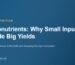 Micronutrients: Why Small Inputs Decide Big Yields
