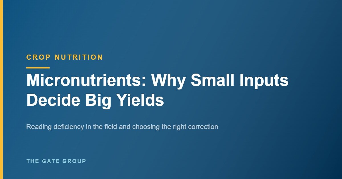 Micronutrients: Why Small Inputs Decide Big Yields