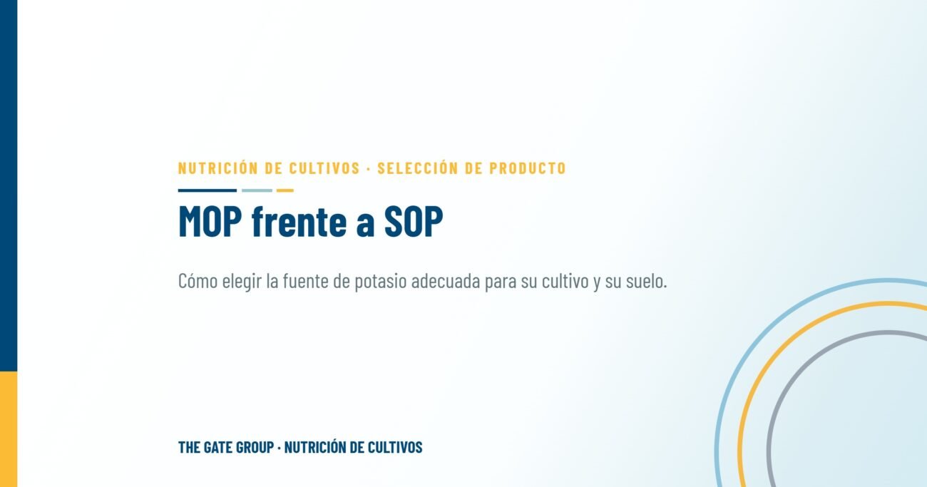 MOP frente a SOP: elegir la fuente de potasio adecuada para su cultivo