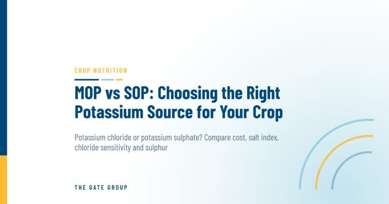 MOP vs SOP: Choosing the Right Potassium Source for Your Crop — The Gate Group