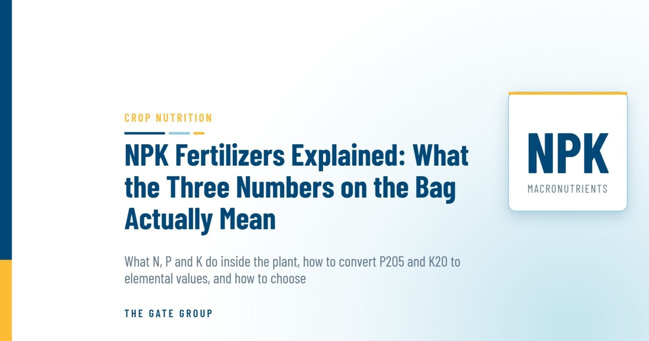 NPK Fertilizers Explained: What the Three Numbers on the Bag Actually Mean — The Gate Group