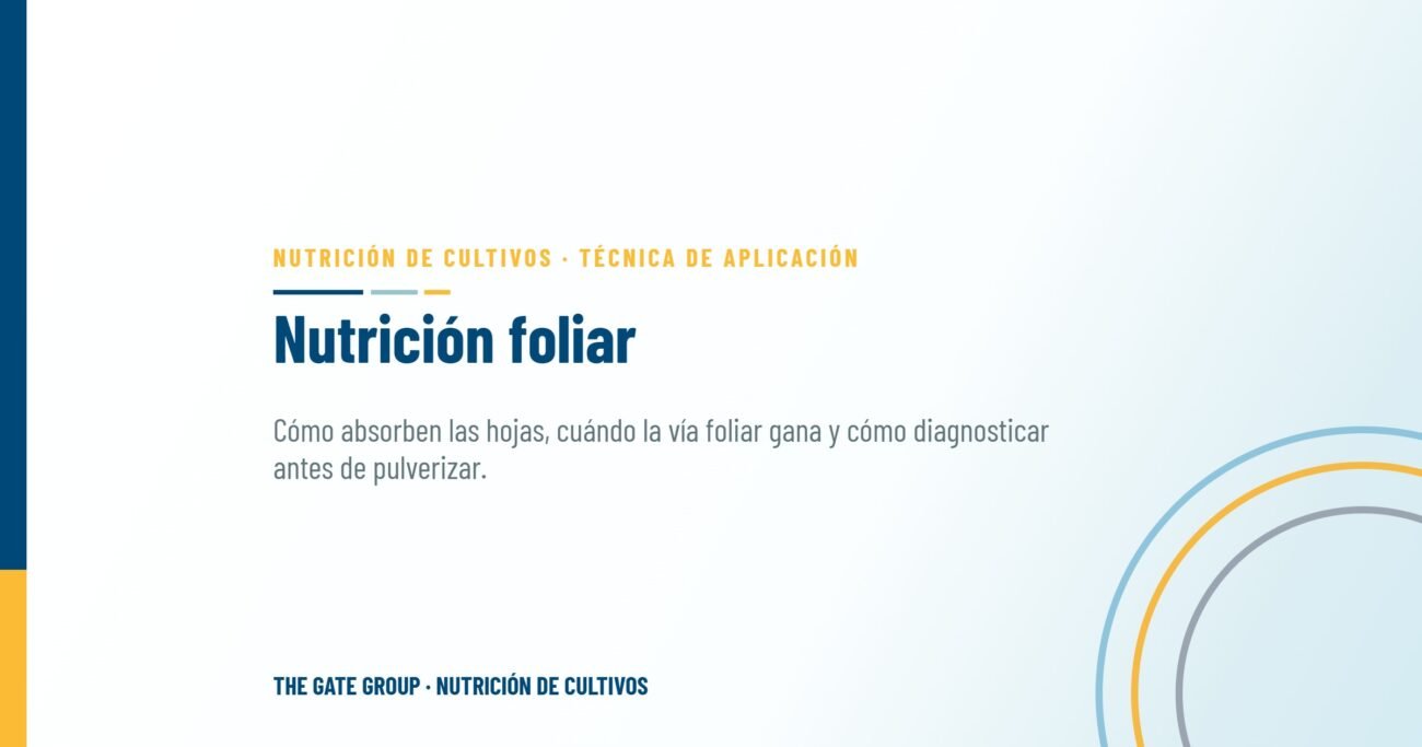Nutrición foliar: cuándo pulverizar nutrientes supera a la aplicación al suelo