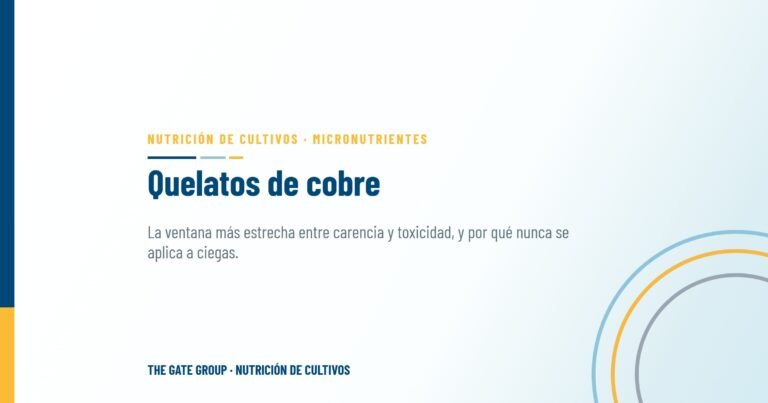 De la activación enzimática a la defensa frente a enfermedades: la guía completa de los quelatos de cobre