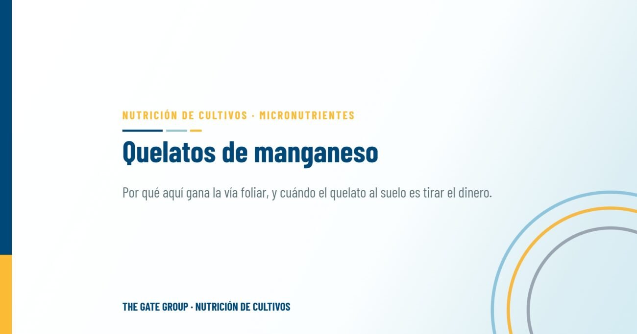El manual del manganeso: entender las formas de quelación para máxima absorción