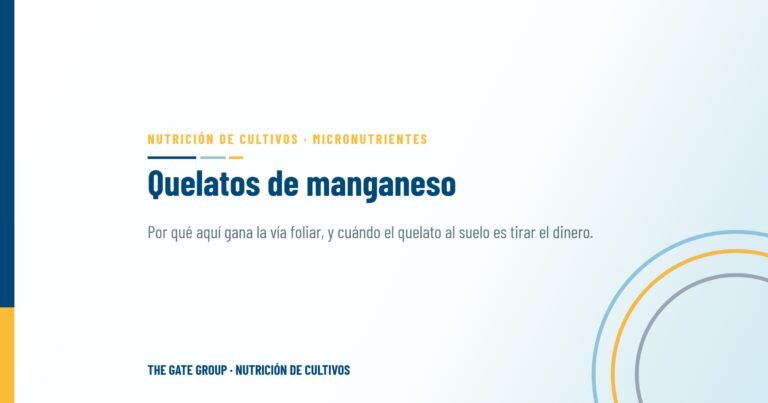 El manual del manganeso: entender las formas de quelación para máxima absorción
