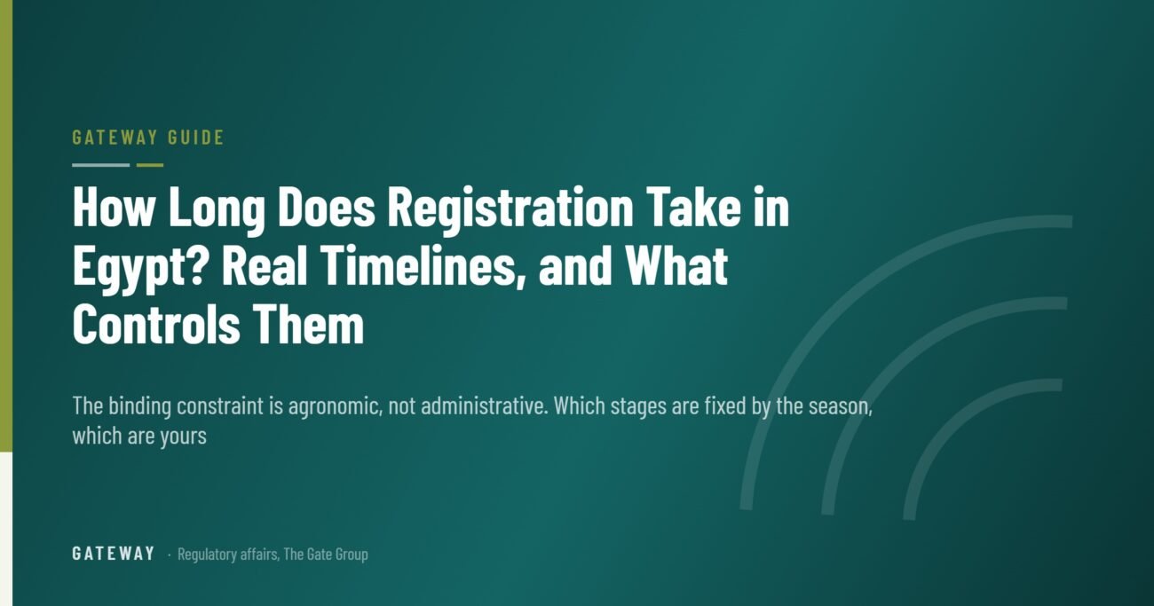How Long Does Registration Take in Egypt? Real Timelines, and What Controls Them — GateWay Guide