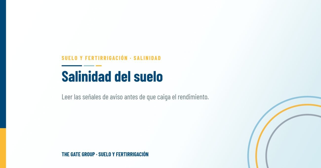 Salinidad del suelo: leer las señales de aviso antes de que caiga el rendimiento