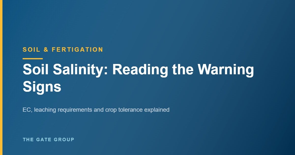 Soil Salinity: Reading the Warning Signs