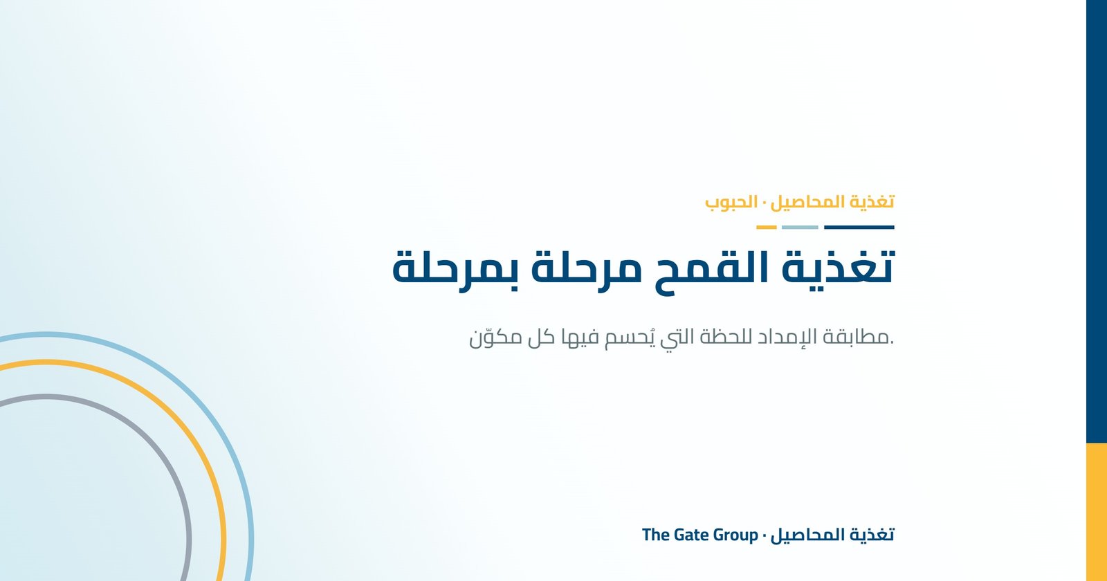 تغذية القمح: نهج مرحلة بمرحلة
