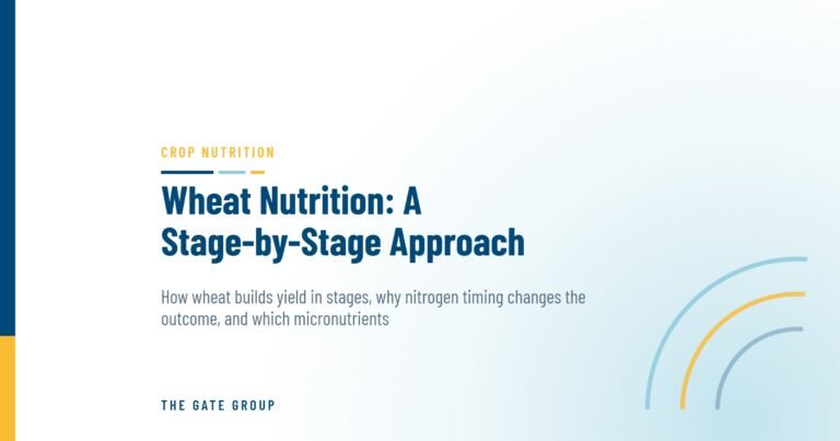Wheat Nutrition: A Stage-by-Stage Approach — The Gate Group