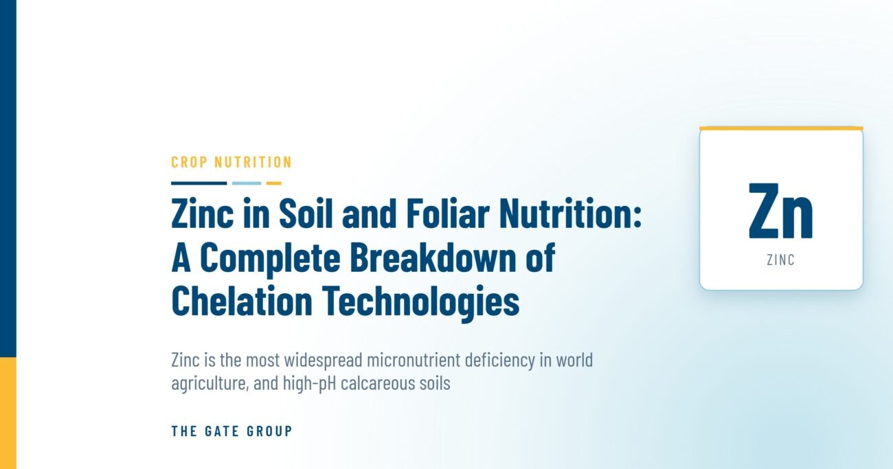 Zinc in Soil and Foliar Nutrition: A Complete Breakdown of Chelation Technologies — The Gate Group