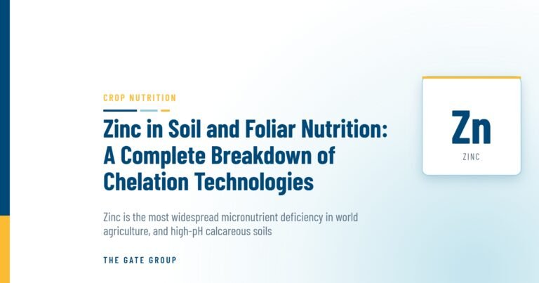 Zinc in Soil and Foliar Nutrition: A Complete Breakdown of Chelation Technologies — The Gate Group