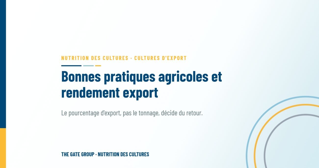 Bonnes pratiques agricoles et rendement export : là où les tonnes se gagnent réellement
