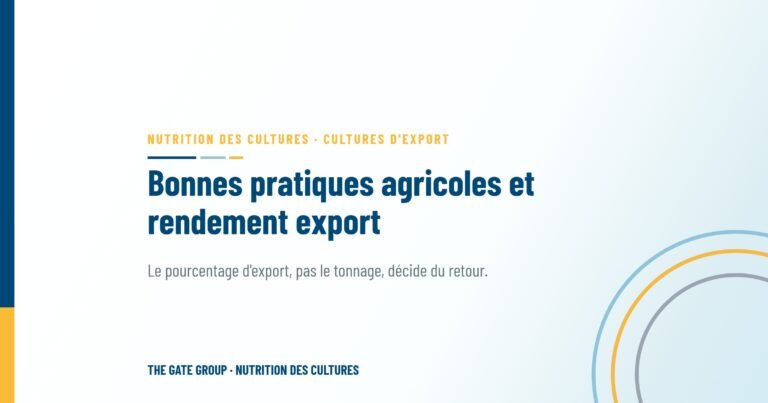 Bonnes pratiques agricoles et rendement export : là où les tonnes se gagnent réellement