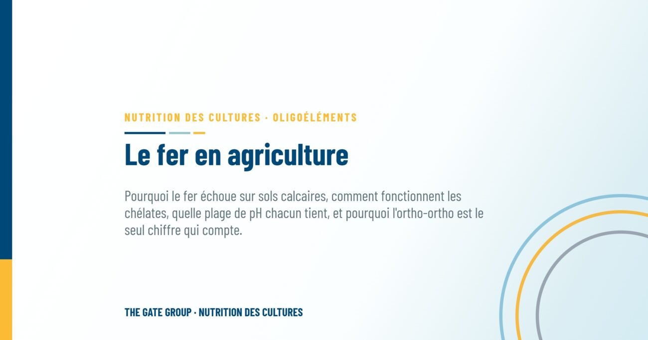 Le fer en agriculture : guide complet des formes de chélation, de la stabilité et de la performance au champ
