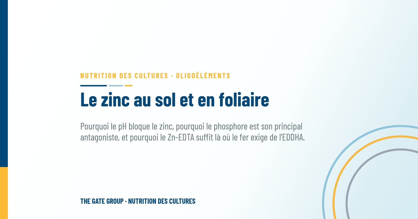Le zinc au sol et en foliaire : panorama complet des technologies de chélation