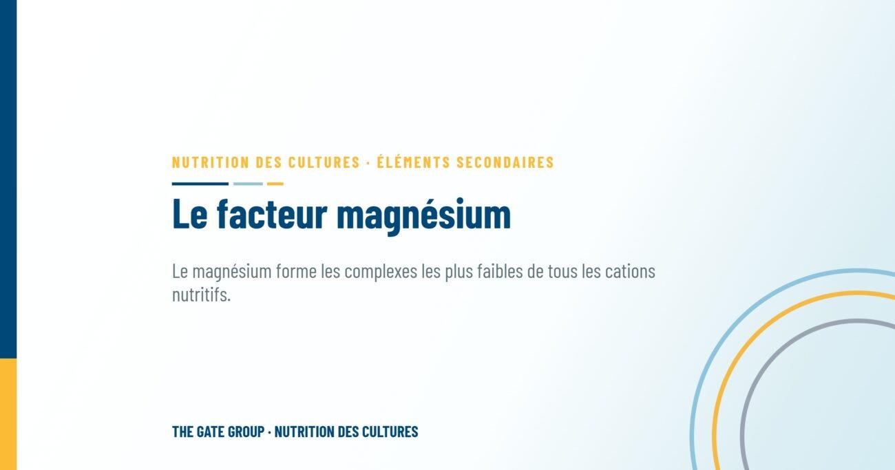 Le facteur magnésium : comment les formes de chélation influencent la photosynthèse et le rendement