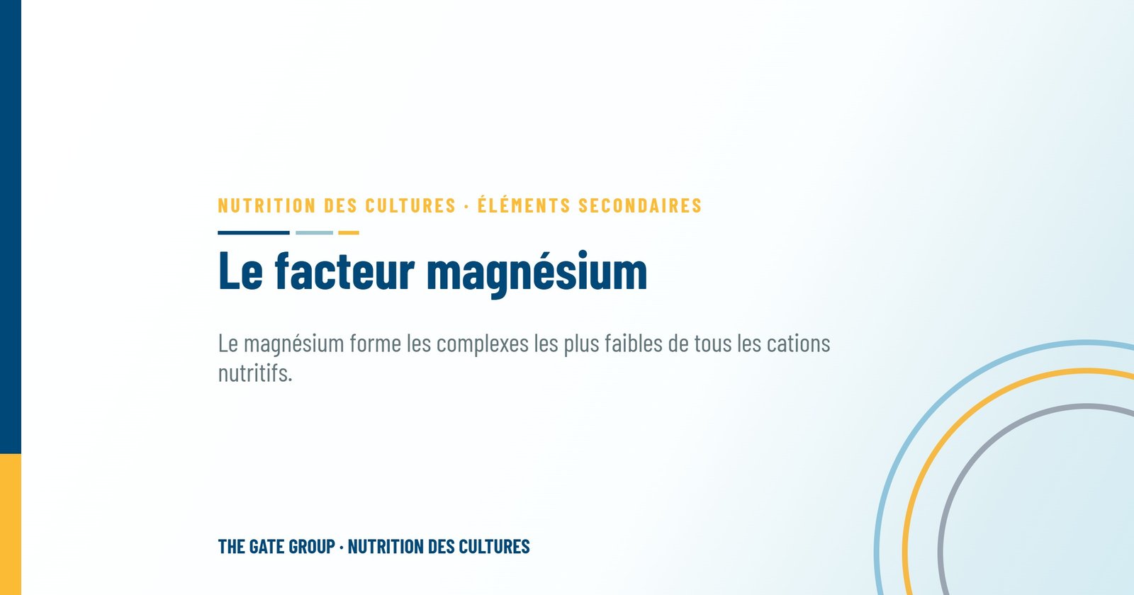 Le facteur magnésium : comment les formes de chélation influencent la photosynthèse et le rendement
