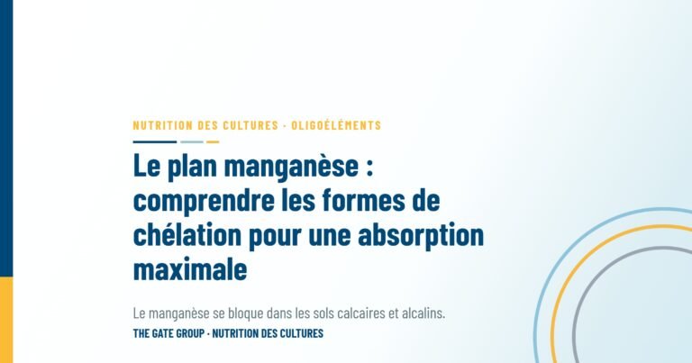 Le plan manganèse : comprendre les formes de chélation pour une absorption maximale