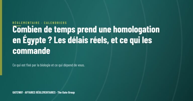 Combien de temps prend une homologation en Égypte ? Les délais réels, et ce qui les commande
